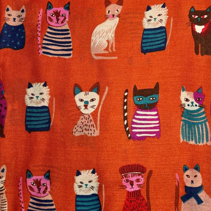 Scarf Cat : Orange