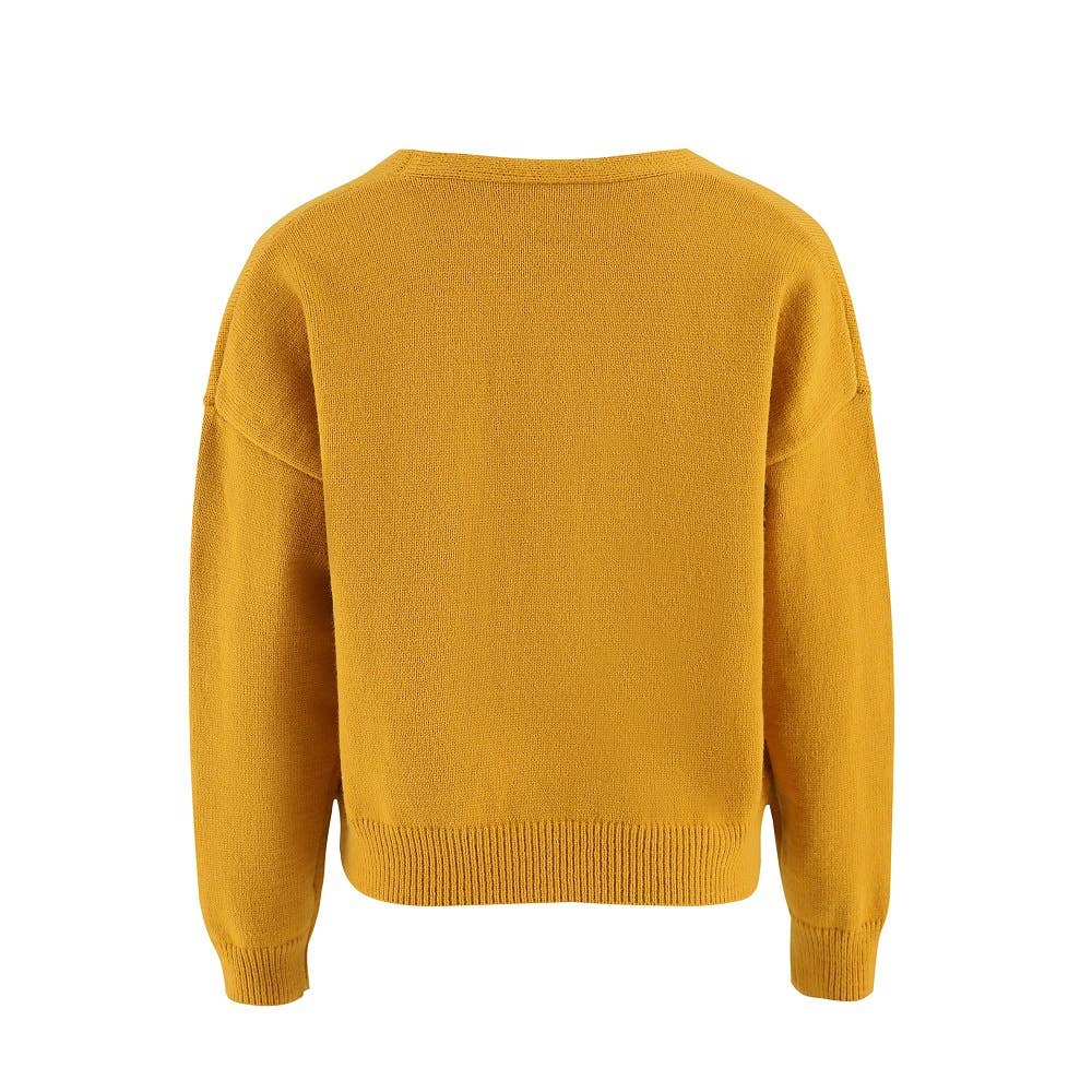 Daisy V-neck Cardigans: Orange / 2XL