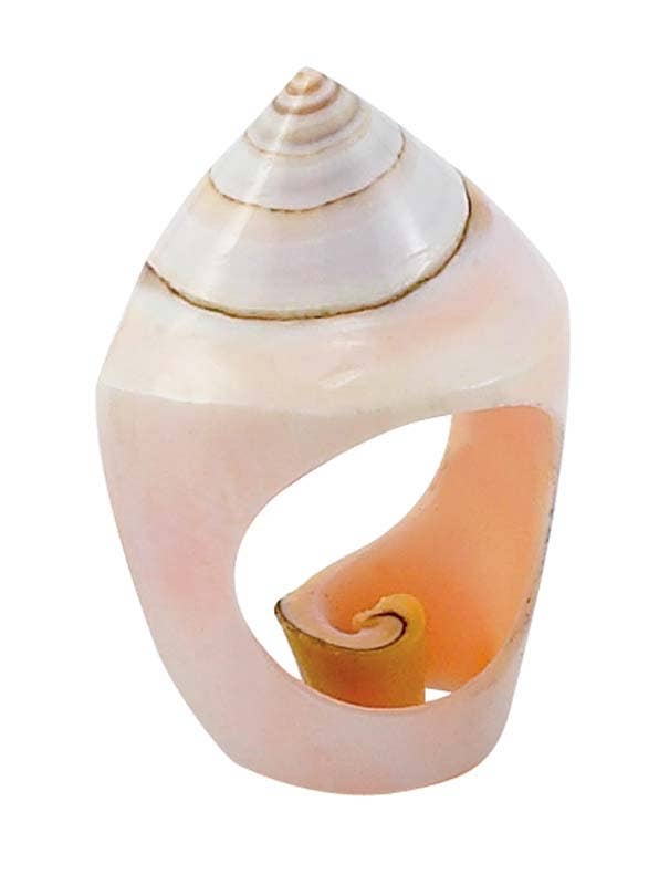 Seashell Rings