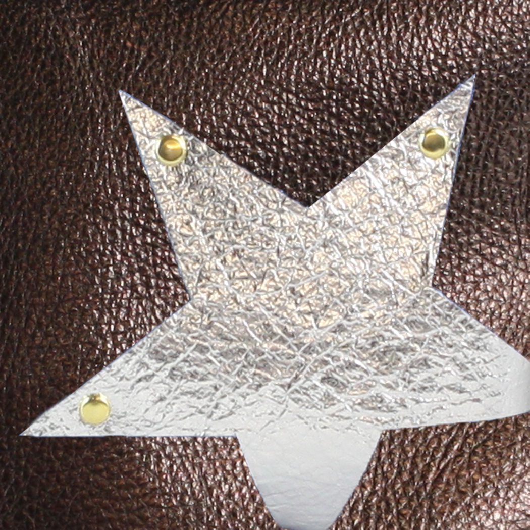 Metallic Vail Hipbag w/Star: Jet